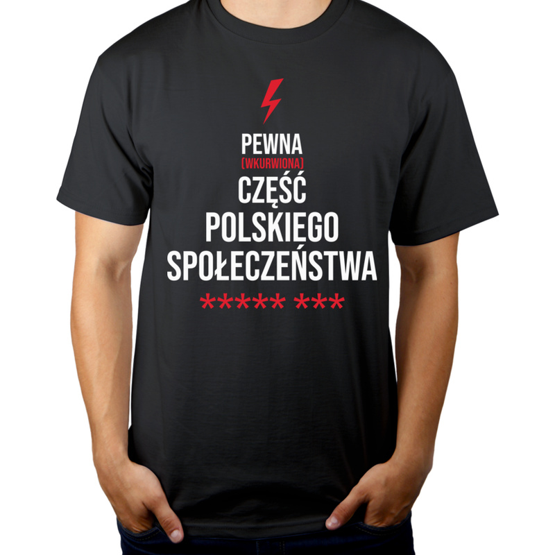 Pewna Część Społeczeństwa - Męska Koszulka Szara