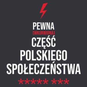 Pewna Część Społeczeństwa - Męska Koszulka Szara