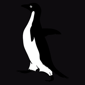 Pingwin - Męska Bluza z kapturem Czarna