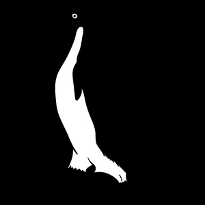 Pingwin - Torba Na Zakupy Czarna
