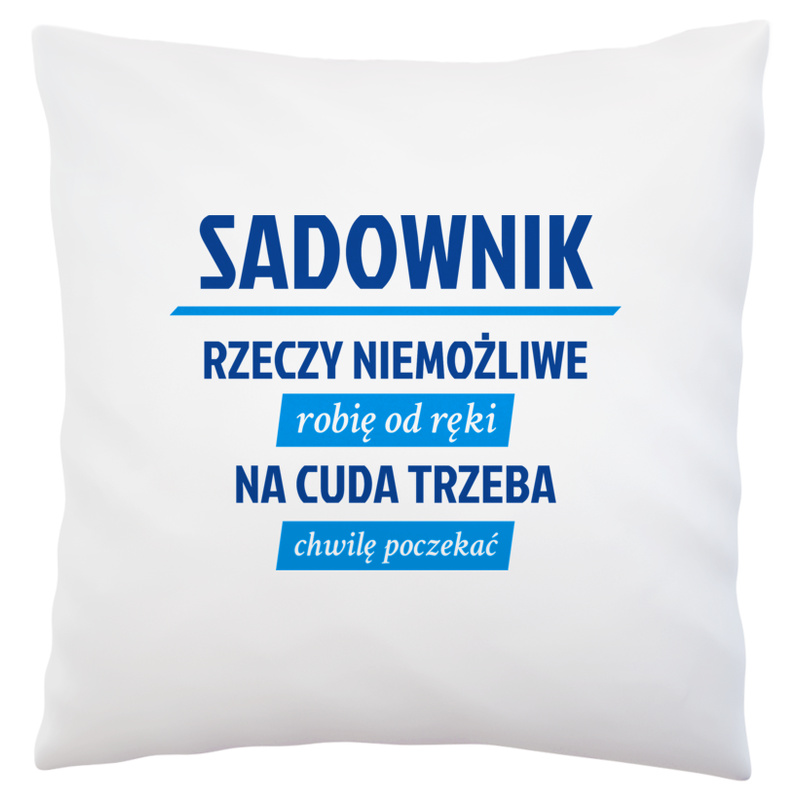 Sadownik - Rzeczy Niemożliwe Robię Od Ręki - Na Cuda Trzeba Chwilę Poczekać - Poduszka Biała