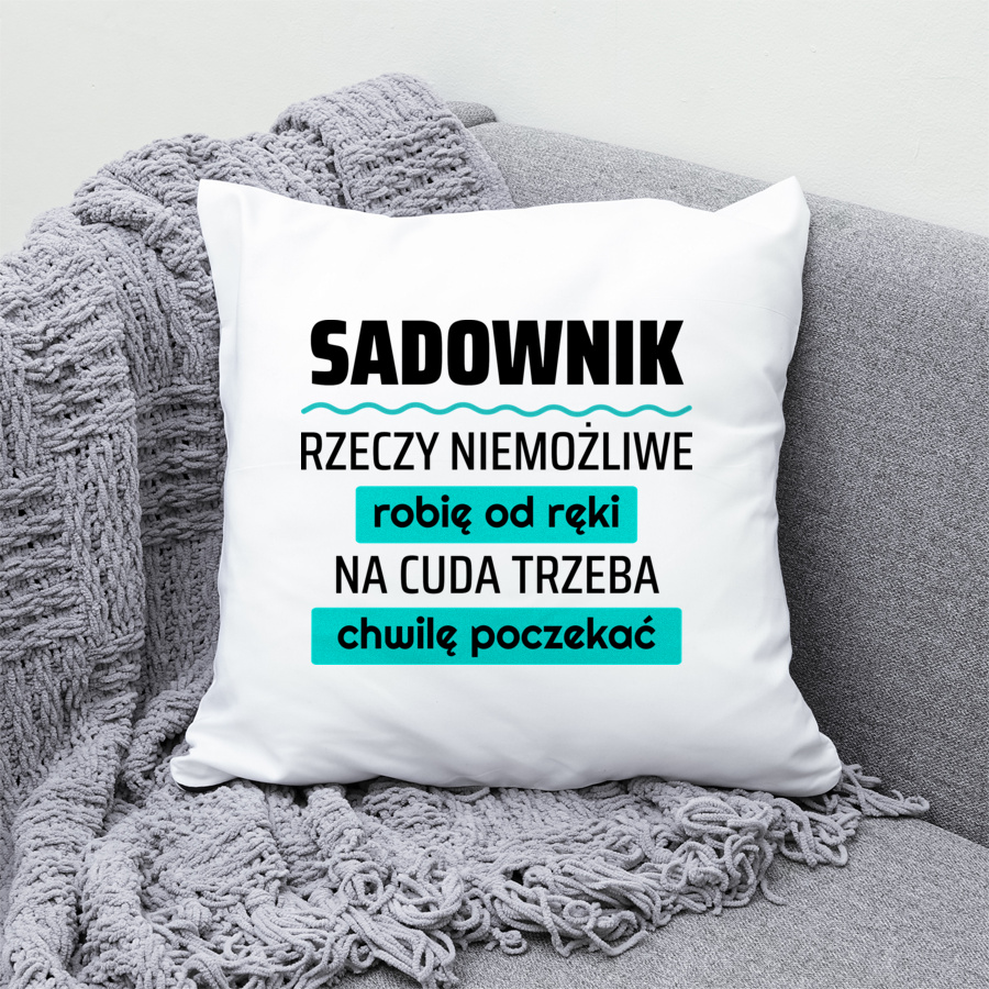 Sadownik - Rzeczy Niemożliwe Robię Od Ręki - Na Cuda Trzeba Chwilę Poczekać - Poduszka Biała