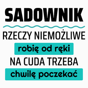 Sadownik - Rzeczy Niemożliwe Robię Od Ręki - Na Cuda Trzeba Chwilę Poczekać - Poduszka Biała