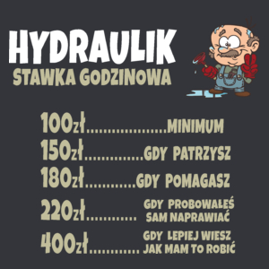 Stawka Godzinowa Hydraulik - Męska Koszulka Szara