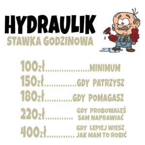 Stawka Godzinowa Hydraulik - Kubek Biały