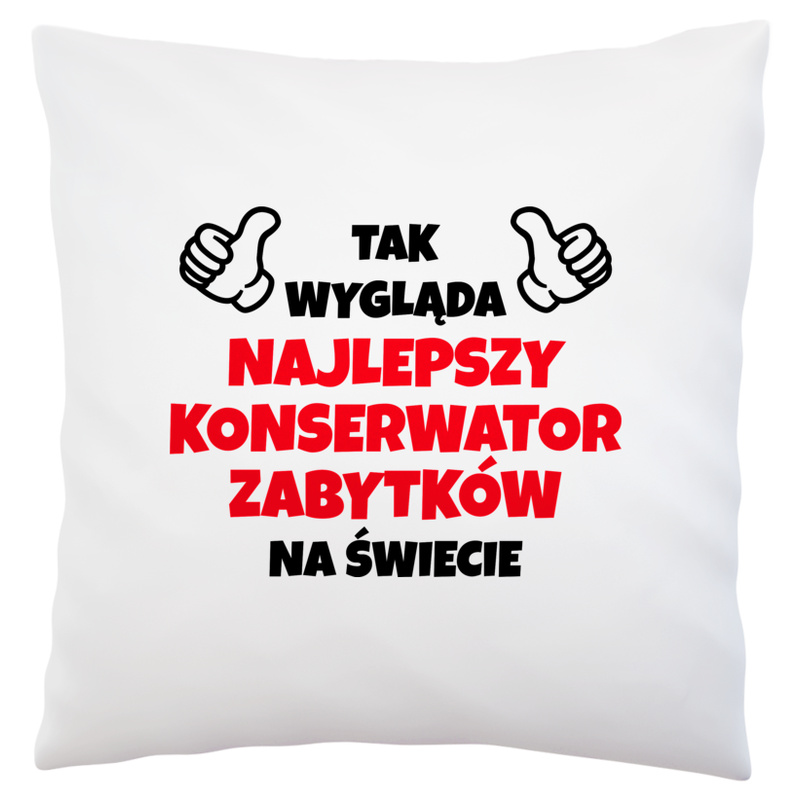 Tak Wygląda Najlepszy Konserwator Zabytków Na Świecie - Poduszka Biała