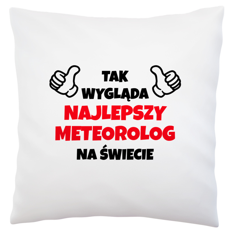 Tak Wygląda Najlepszy Meteorolog Na Świecie - Poduszka Biała