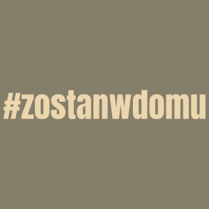 Zostań W Domu - Męska Koszulka Jasno Szara