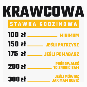 stawka godzinowa krawcowa - Poduszka Biała